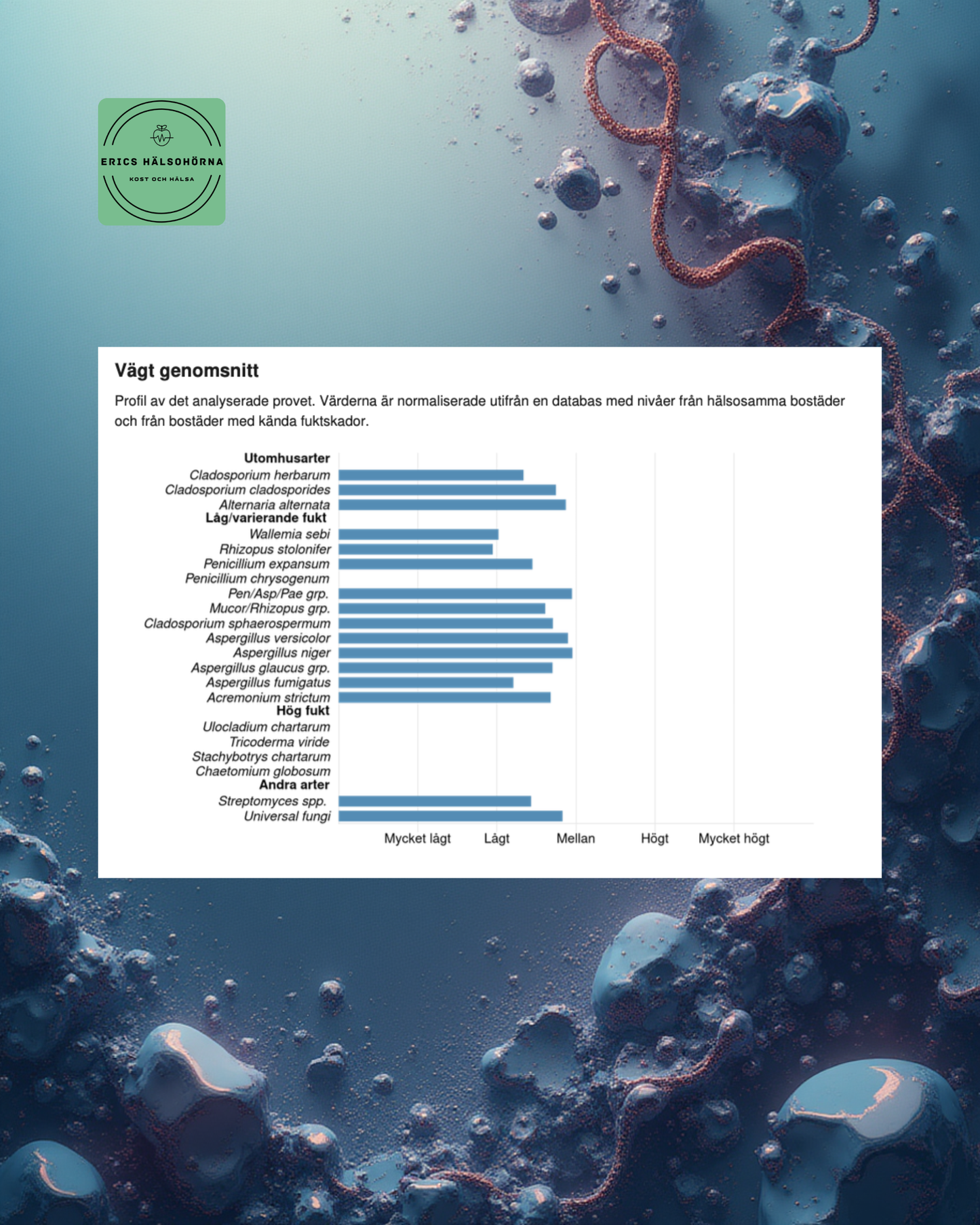 DNA-mögeltest för hus & hälsa – avancerad qPCR-analys av dolt mögel-Erics Hälsohörna
