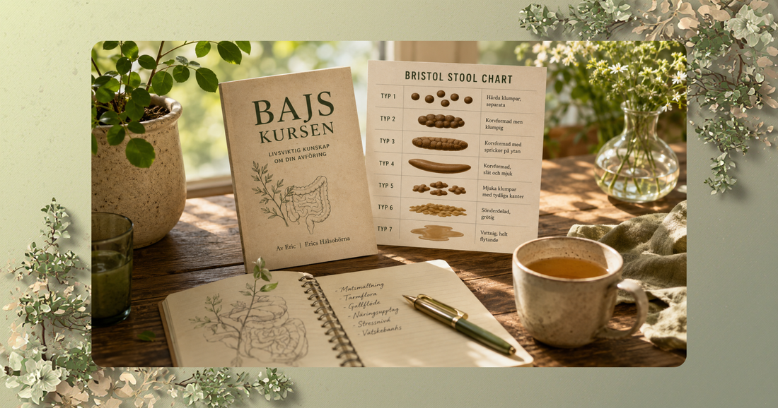 Avföring och tarmhälsa – Bristol Stool Chart och matsmältning naturligt | Erics Hälsohörna hälsoblogg