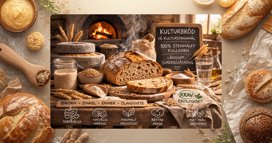 Kulturbröd, surdeg, enkorn, dinkel, stenmalet, ibs, gluten