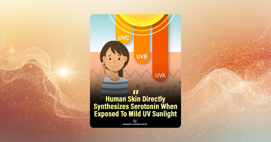 Solljus som biologisk information – mer än bara vitamin D