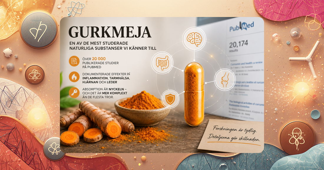 Gurkmeja och curcumin – 6 000 års historia inom Ayurveda och TCM bekräftad av modern forskning med över 20 000 studier på PubMed