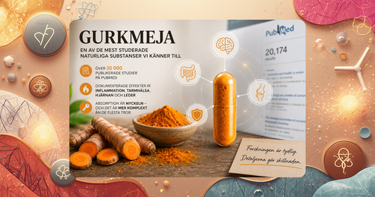 Gurkmeja och curcumin – 6 000 års historia inom Ayurveda och TCM bekräftad av modern forskning med över 20 000 studier på PubMed