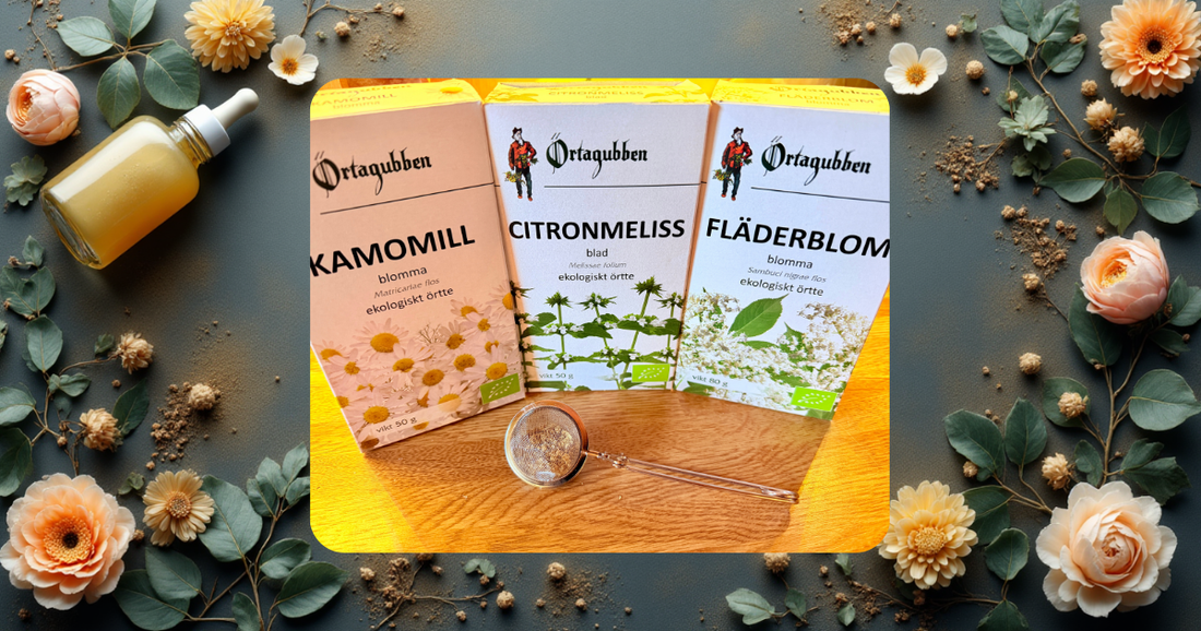 Mina tre favorit­teer för hösten 🍂-Erics Hälsohörna