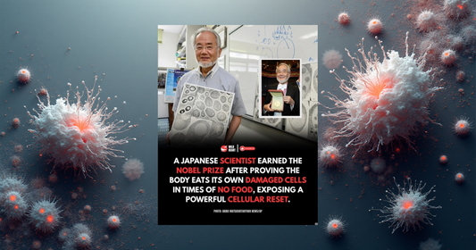 Autofagi - när kroppen städar upp sig själv-Erics Hälsohörna