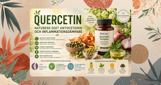 BioCare Quercetin Komplex – naturligt tillskott mot inflammation och tarmhälsa