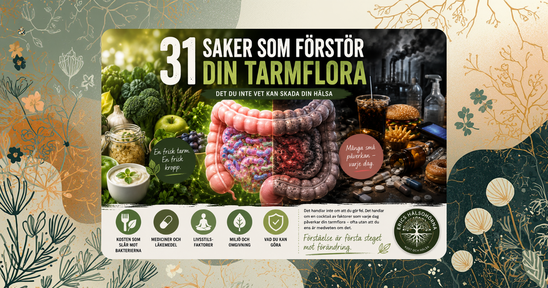 Vad förstör tarmfloran – antibiotika, socker, stress och pesticider som orsakar tarmdysbiosis och ohälsa