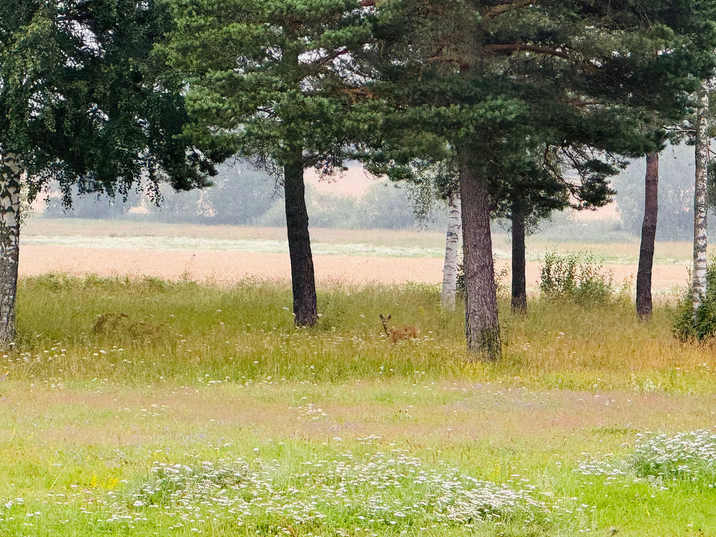 Friskvård – Stresshantering & Återhämtning (en dag)