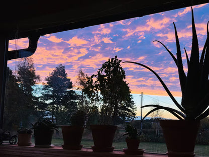 Friskvård – Stresshantering & Återhämtning (en dag)