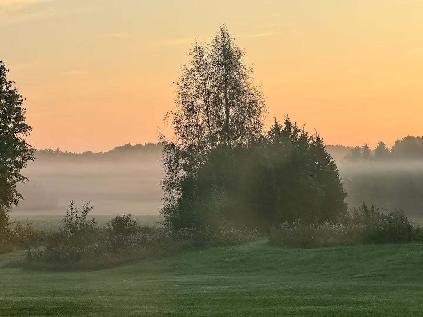 Friskvård – Stresshantering & Återhämtning (en dag)