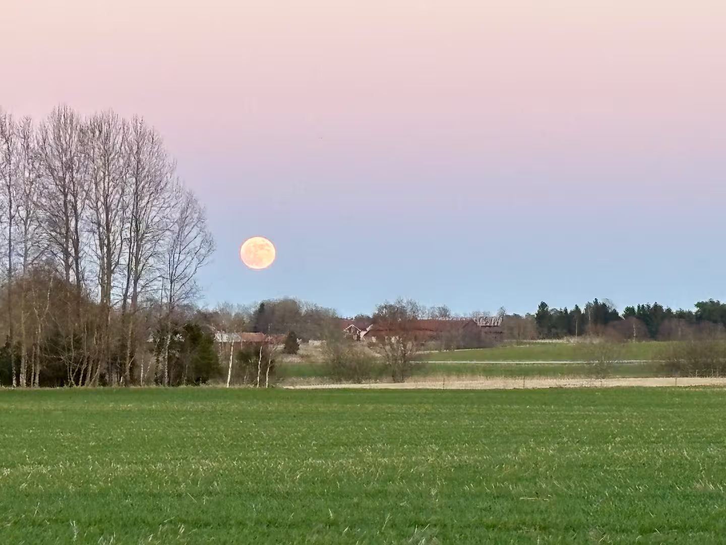 Friskvård – Stresshantering & Återhämtning (en dag)