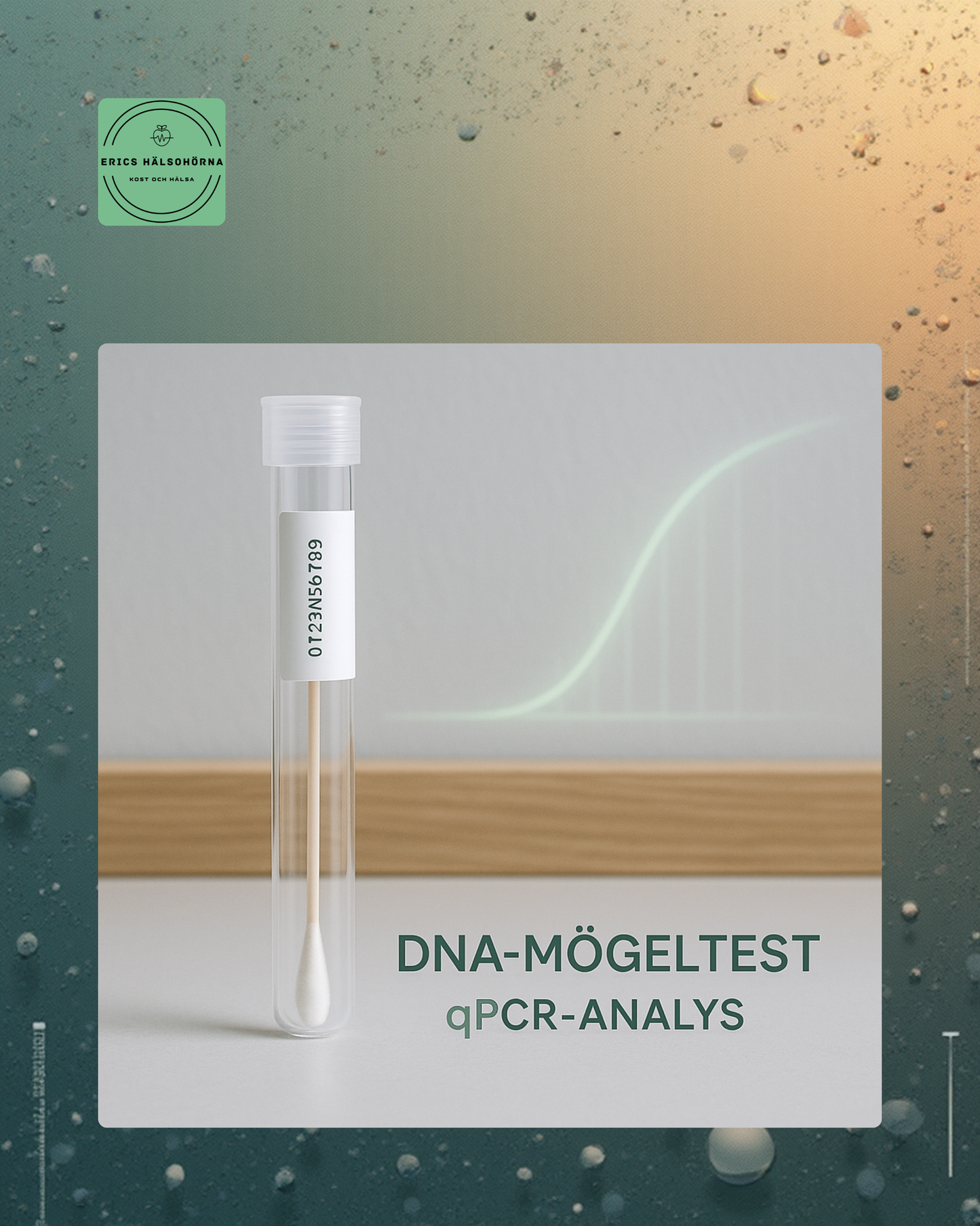 DNA-mögeltest för hus & hälsa – avancerad qPCR-analys av dolt mögel