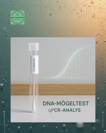 DNA-mögeltest för hus & hälsa – avancerad qPCR-analys av dolt mögel
