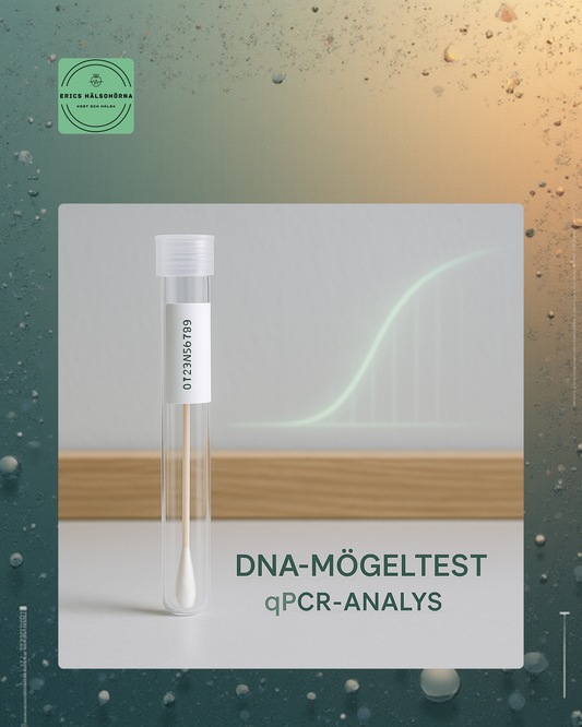 DNA-mögeltest för hus & hälsa – avancerad qPCR-analys av dolt mögel