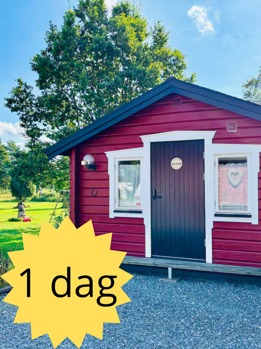 Friskvård – Stresshantering & Återhämtning (en dag)