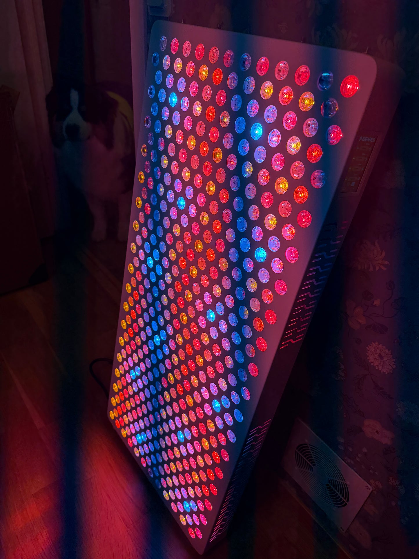 Rödljusterapi i Hälsostugan i Norrtälje – stillsam återhämtning med rödljus i lugn miljö
