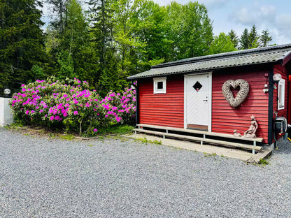 Friskvård – Stresshantering & Återhämtning (en dag)