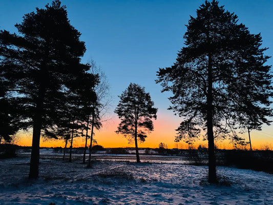 Friskvård – Stresshantering & Återhämtning (en dag)-Erics Hälsohörna