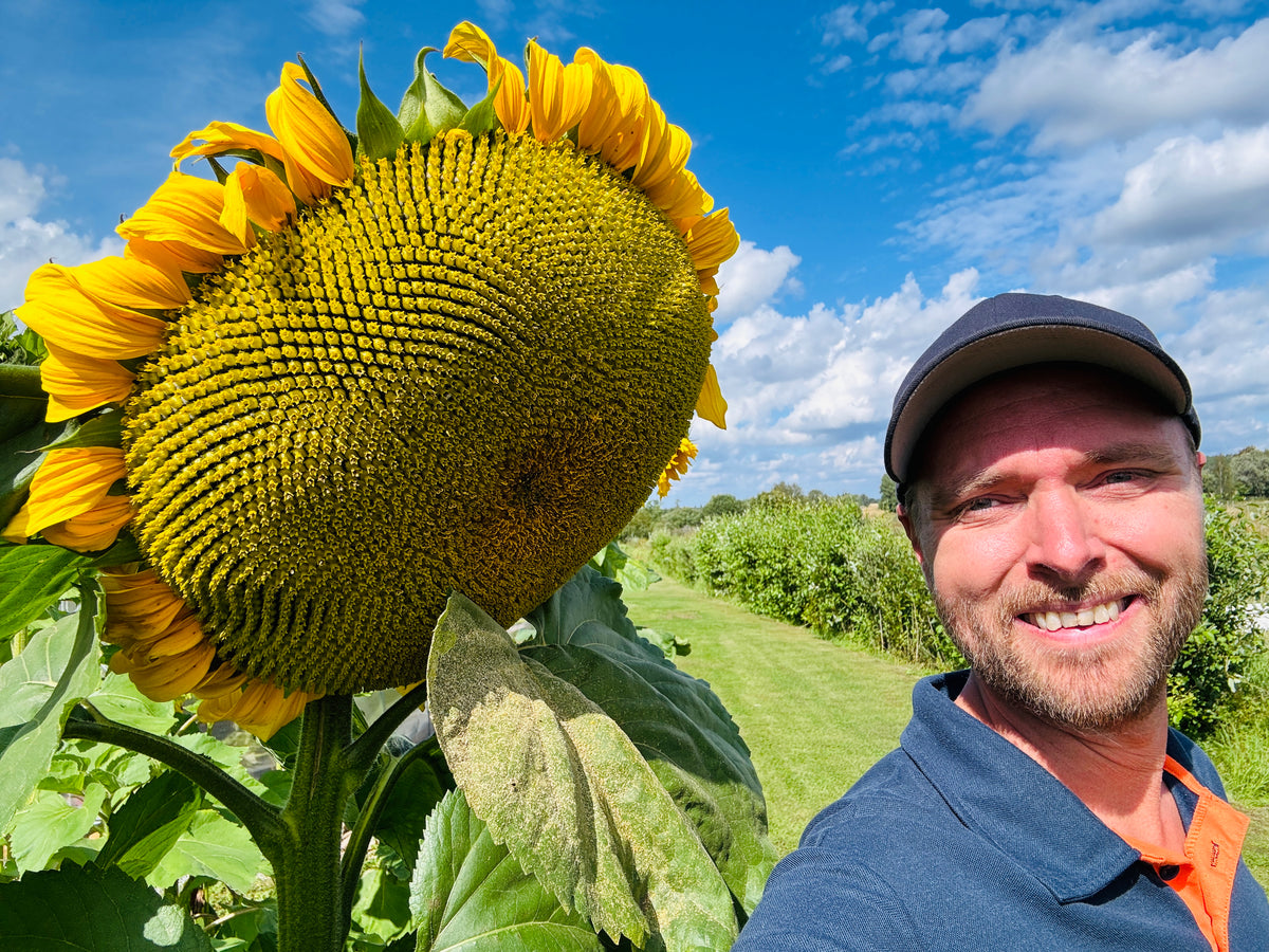 Eric Unevik, certifierad integrativ hälsocoach, står ute i naturen med solrosor och välkomnar besökare till Erics Hälsohörna och deras resa mot bättre hälsa.