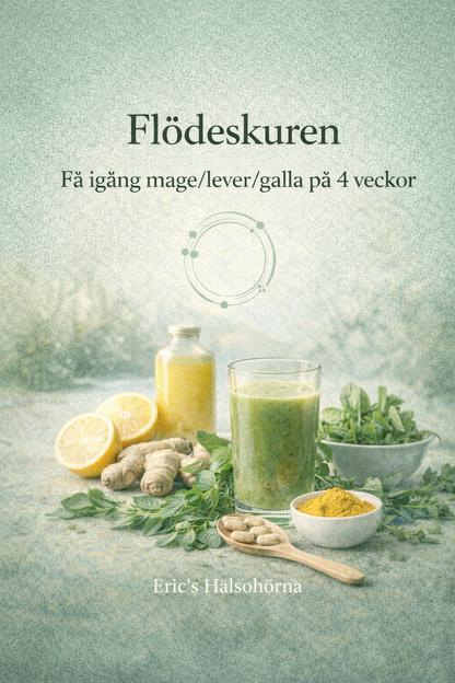 Digital kurs för att stödja matsmältning, lever och gallflöde – en fyraveckors flödeskur för bättre magfunktion och återhämtning, Eric’s Hälsohörna