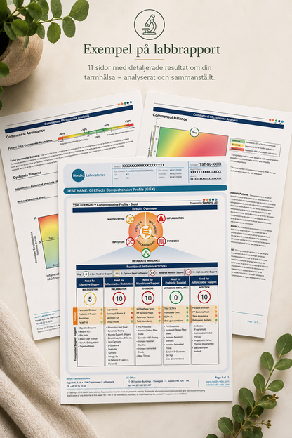 GI Effects tarmtest exempelrapport – funktionella obalansscore för matsmältning, inflammation och dysbios | Erics Hälsohörna