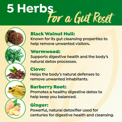 Zeolit Detox – 50% på första månaden